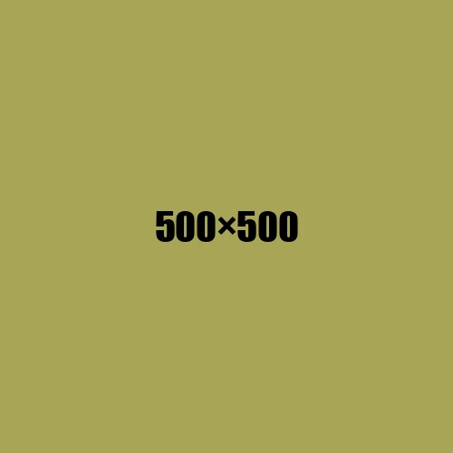 image de remplacement 500 × 500