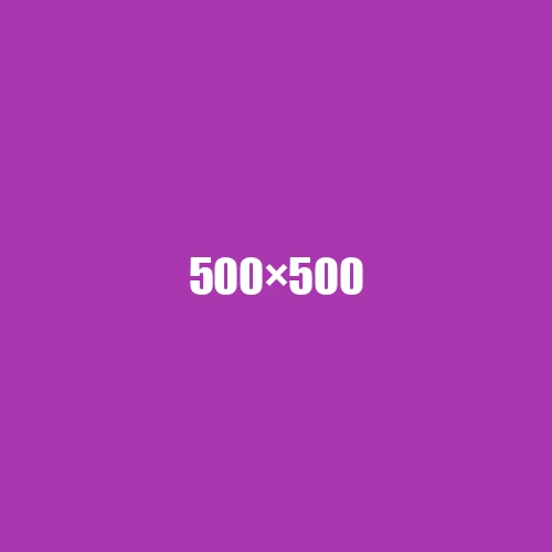 image de remplacement 500 × 500