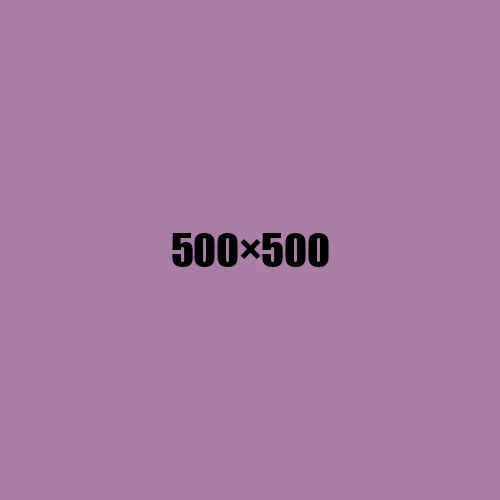 image de remplacement 500 × 500