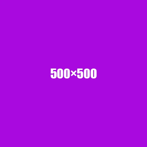 image de remplacement 500 × 500