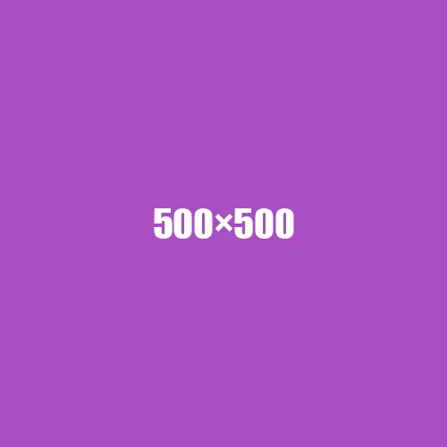 image de remplacement 500 × 500