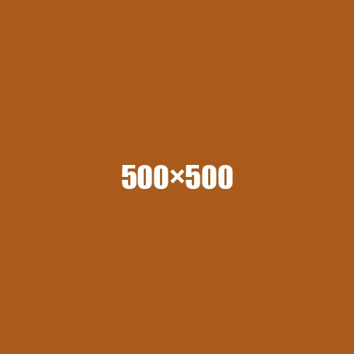 image de remplacement 500 × 500