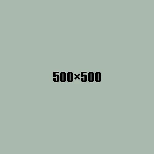 image de remplacement 500 × 500