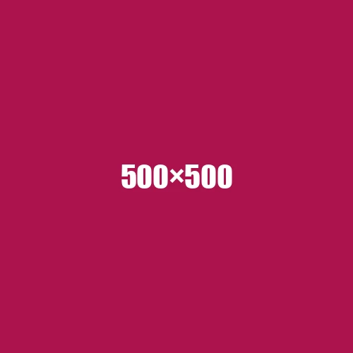image de remplacement 500 × 500