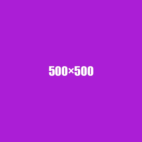 image de remplacement 500 × 500