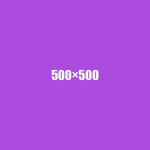 image de remplacement 500 × 500