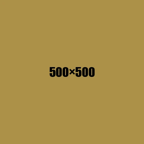 image de remplacement 500 × 500