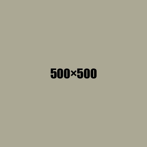 image de remplacement 500 × 500