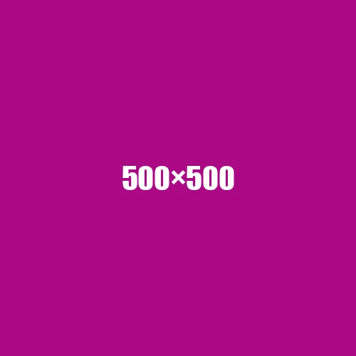 image de remplacement 500 × 500