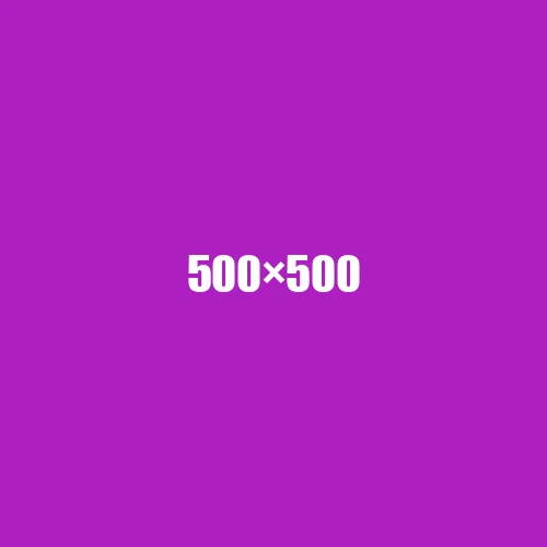 image de remplacement 500 × 500