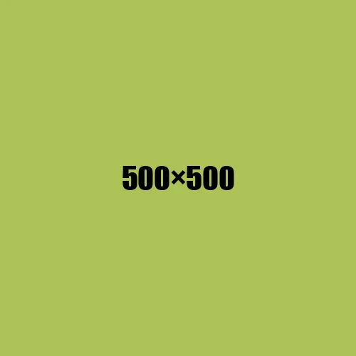 image de remplacement 500 × 500