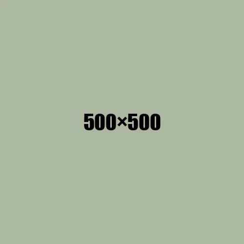 image de remplacement 500 × 500