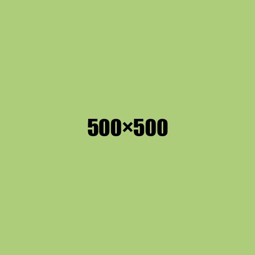 image de remplacement 500 × 500