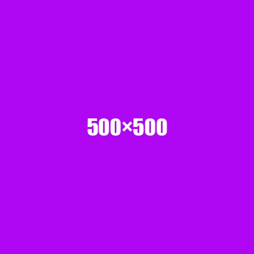 image de remplacement 500 × 500