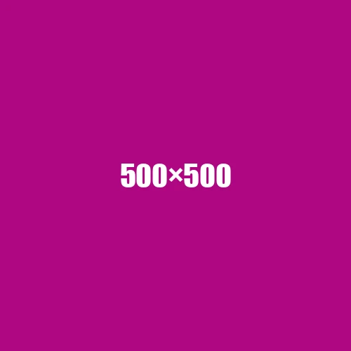 image de remplacement 500 × 500