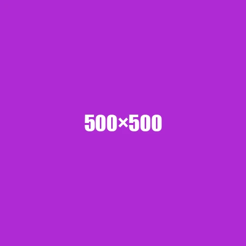 image de remplacement 500 × 500