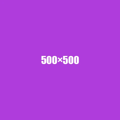 image de remplacement 500 × 500