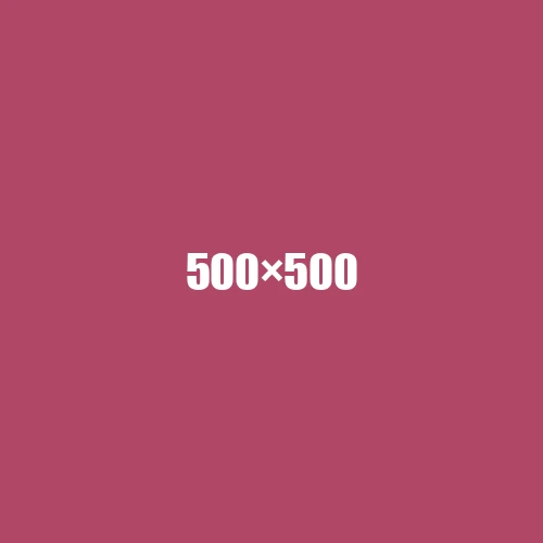 image de remplacement 500 × 500