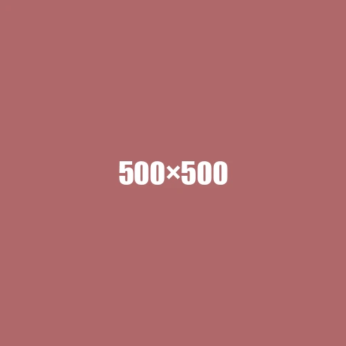 image de remplacement 500 × 500