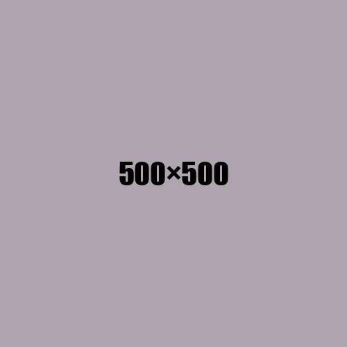 image de remplacement 500 × 500