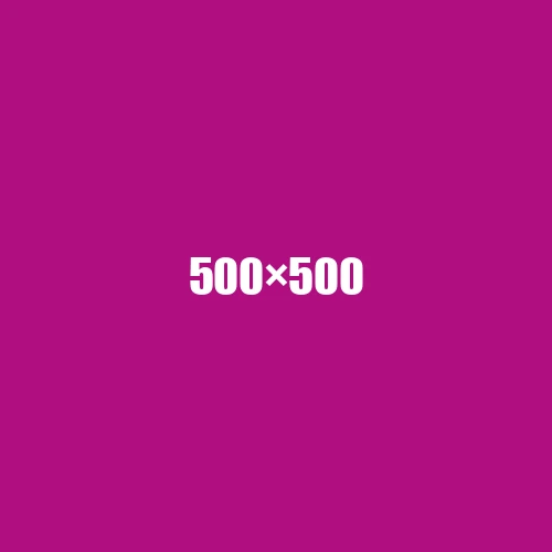 image de remplacement 500 × 500