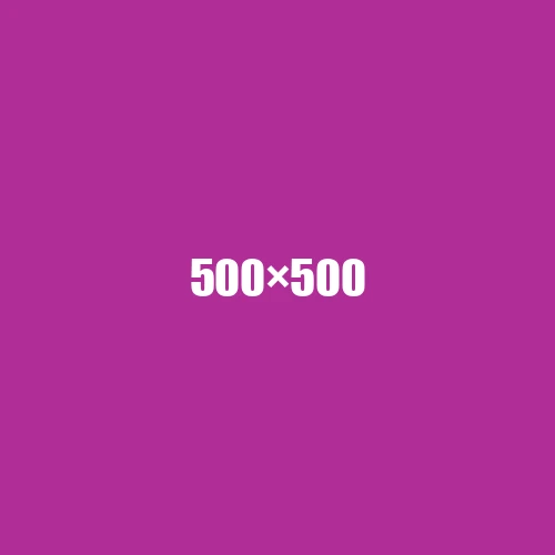 image de remplacement 500 × 500