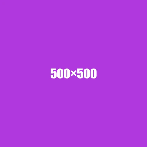 image de remplacement 500 × 500
