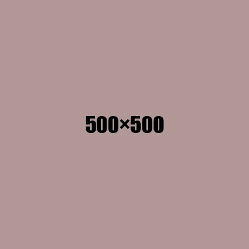 image de remplacement 500 × 500