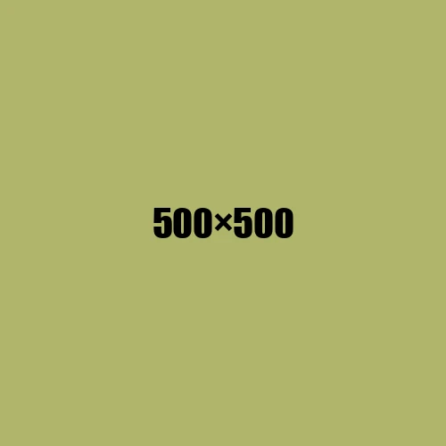image de remplacement 500 × 500