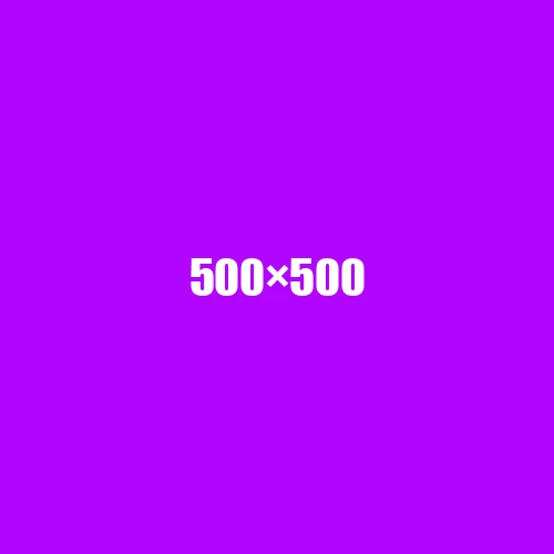 image de remplacement 500 × 500