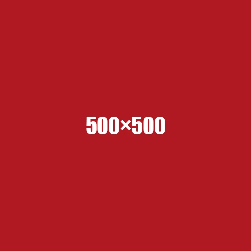 image de remplacement 500 × 500
