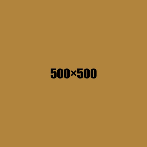 image de remplacement 500 × 500