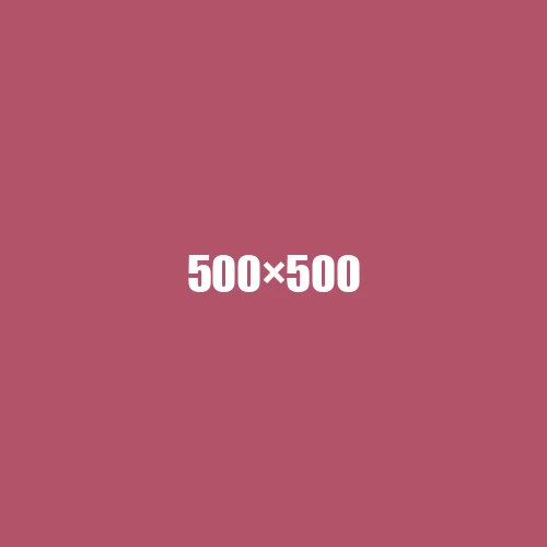 image de remplacement 500 × 500