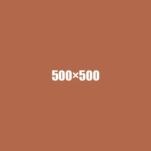 image de remplacement 500 × 500