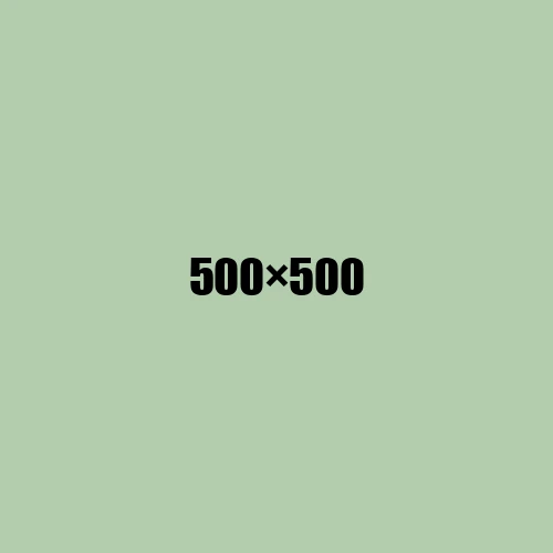 image de remplacement 500 × 500