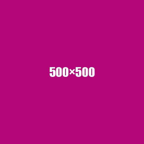image de remplacement 500 × 500