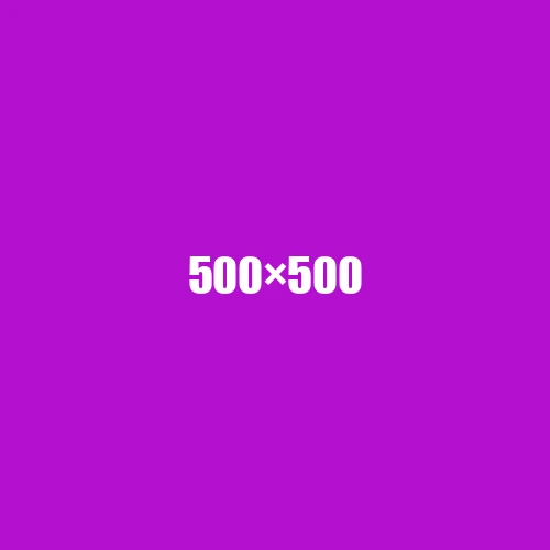 image de remplacement 500 × 500