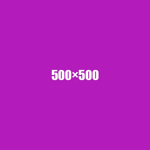 image de remplacement 500 × 500