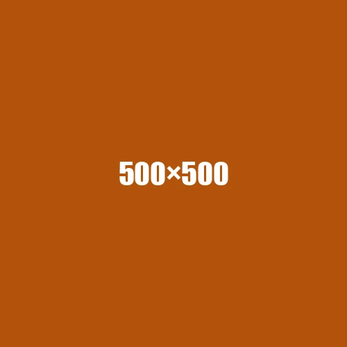 image de remplacement 500 × 500