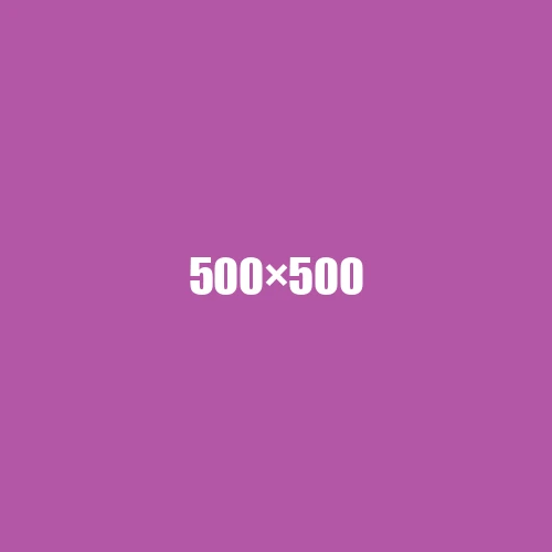 image de remplacement 500 × 500