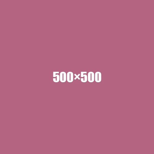 image de remplacement 500 × 500