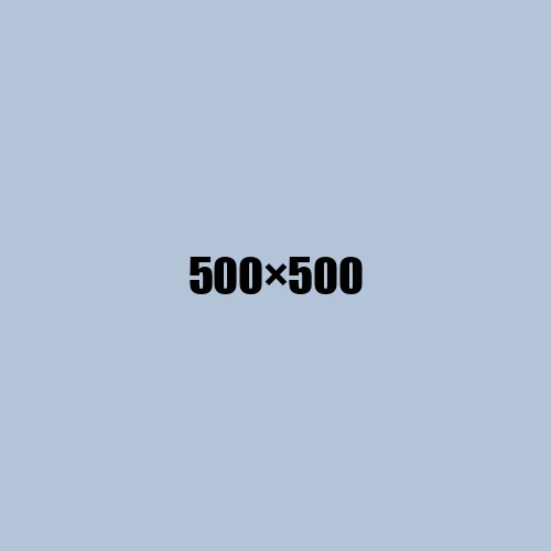 image de remplacement 500 × 500