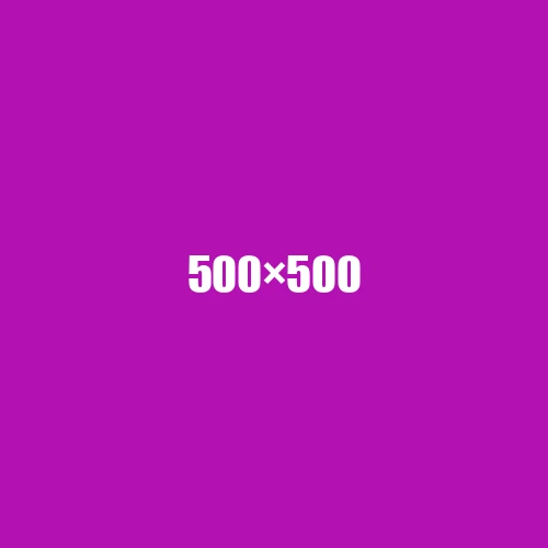 image de remplacement 500 × 500
