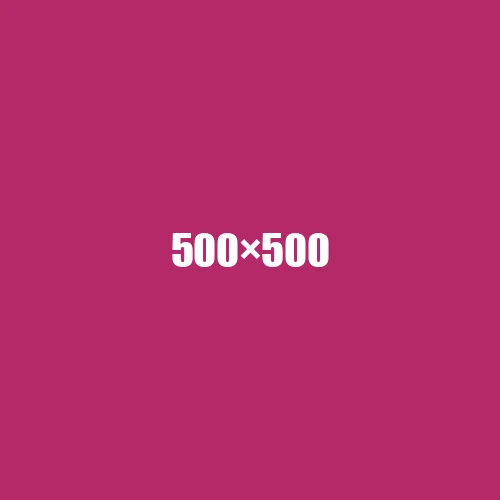 image de remplacement 500 × 500