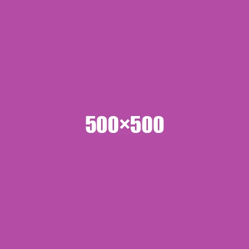 image de remplacement 500 × 500