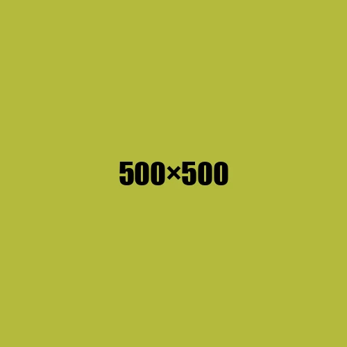 image de remplacement 500 × 500