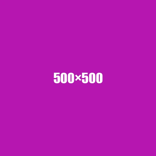 image de remplacement 500 × 500