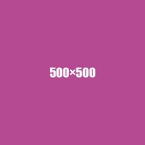 image de remplacement 500 × 500