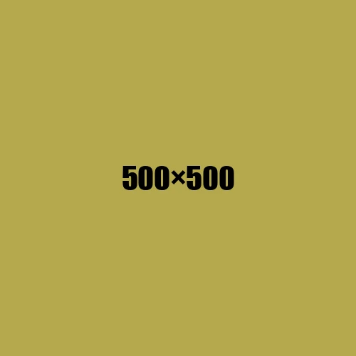 image de remplacement 500 × 500