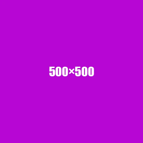 image de remplacement 500 × 500